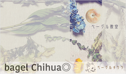 bagel Chihuahua◎